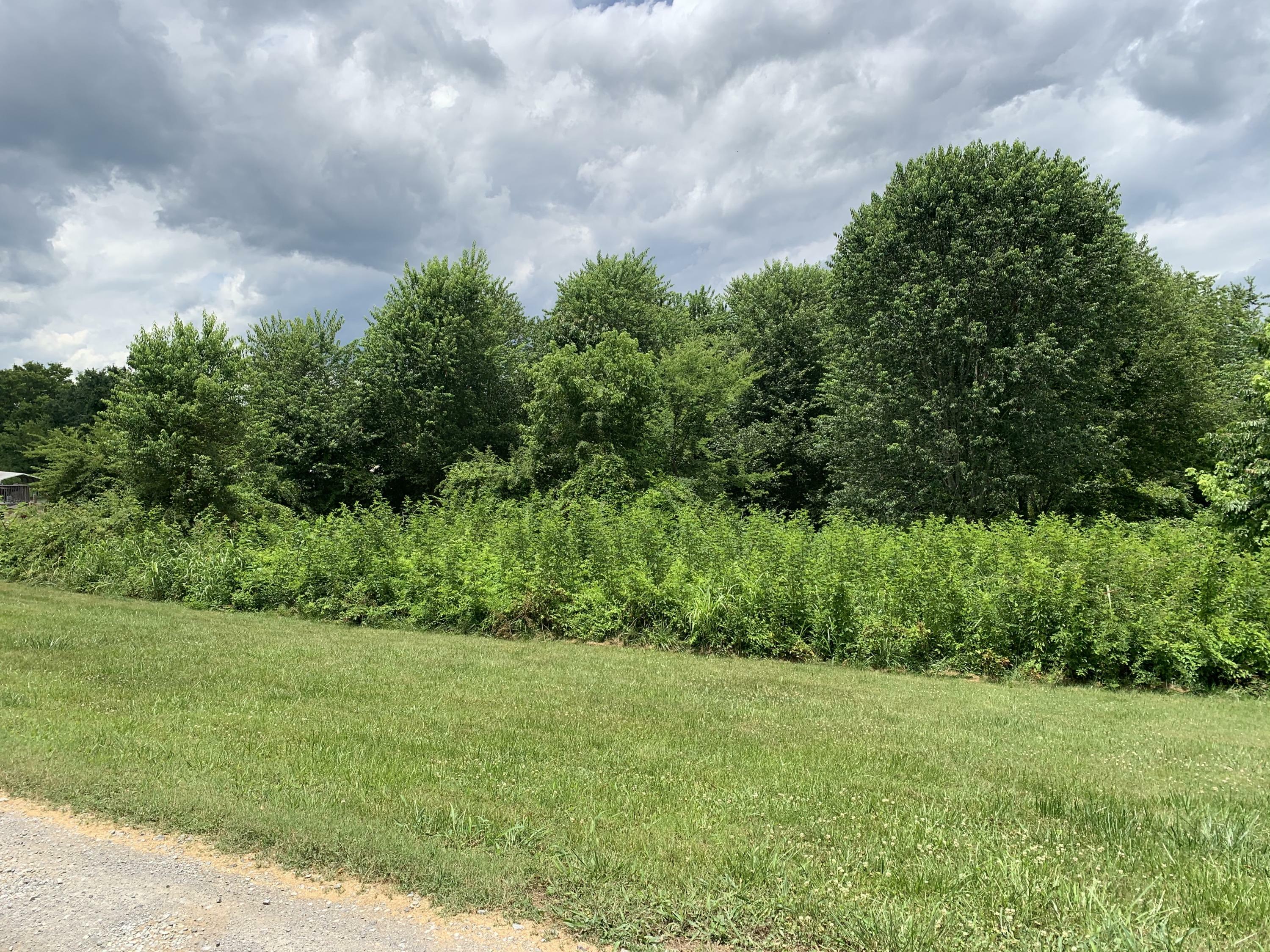 Property Photo:  Steekee Rd  TN 37774 