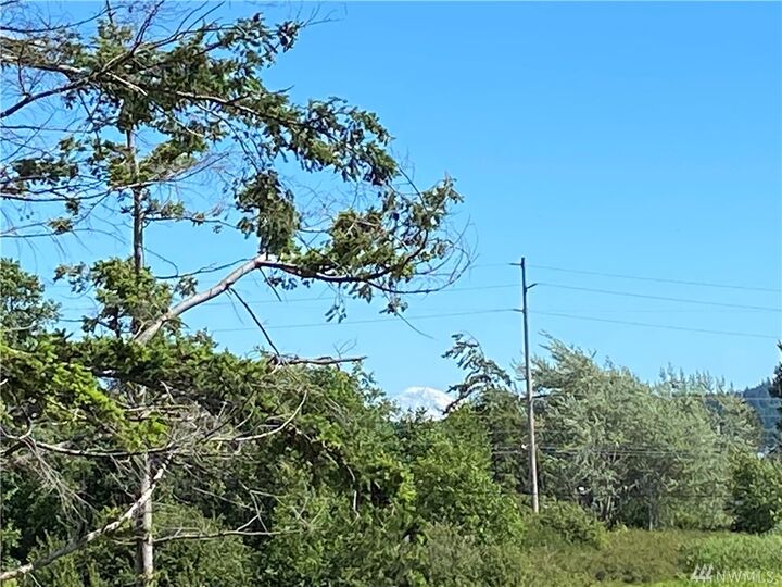 Property Photo:  0 Farmington Dr  WA 98253 