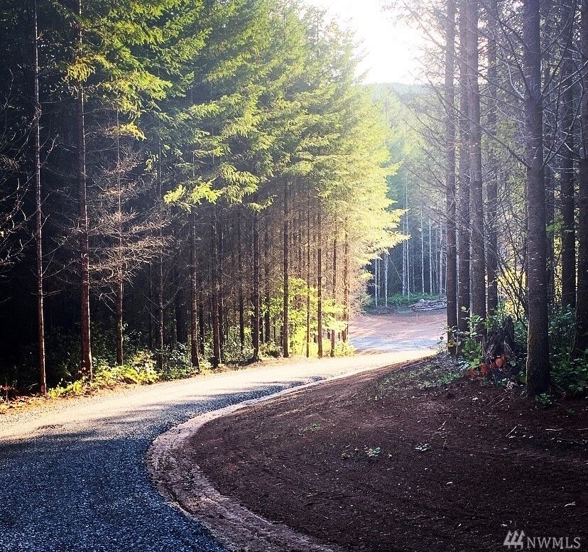 Property Photo: 150 Blanchard Rd WA 98531