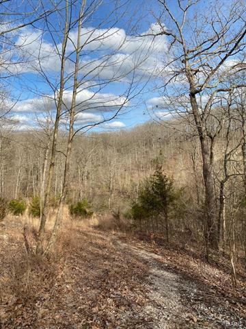 Property Photo: 0 T Warren Road 63383