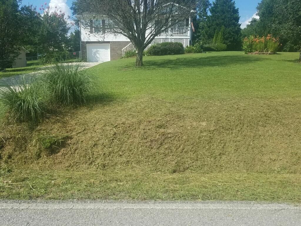 Property Photo: 7809 Grasshopper Road TN 37336