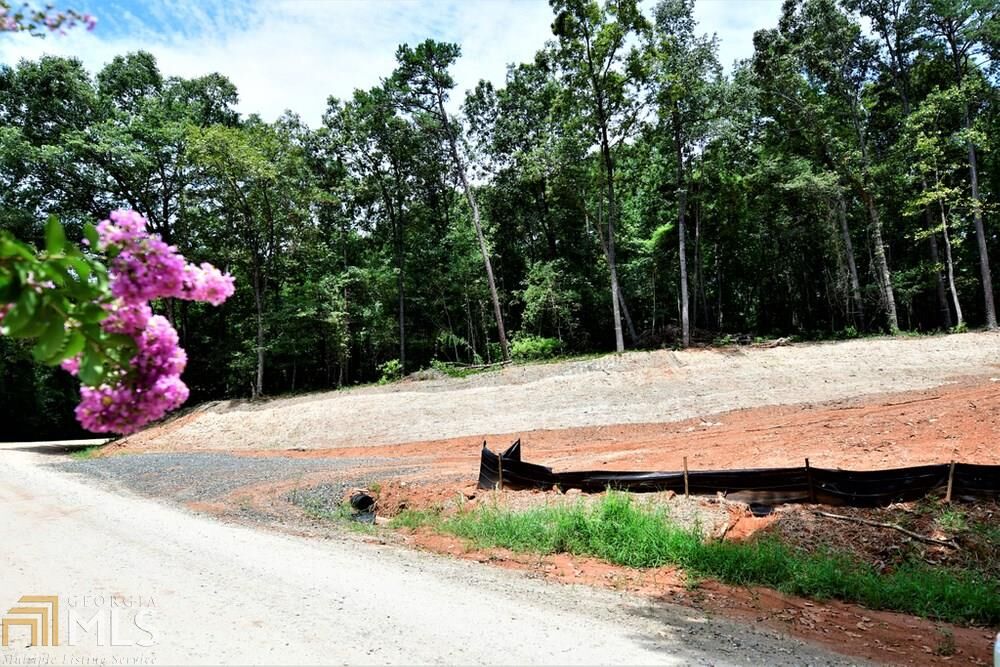 Property Photo:  0 Old Mill Road Lot 1  GA 30549 