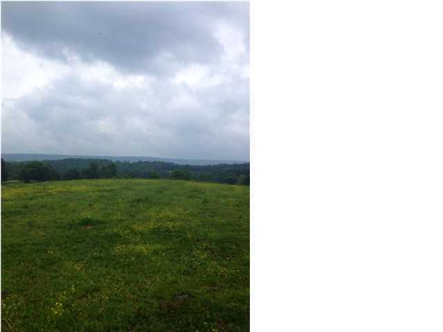 Property Photo: 510 County Rd 797 AL 35989