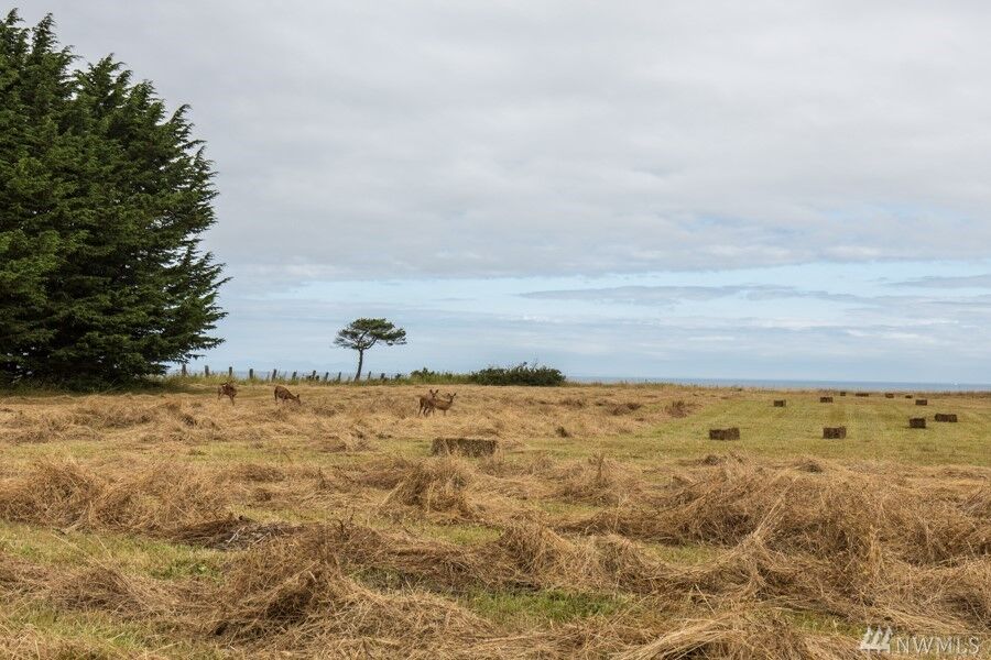 Property Photo:  0  Hunters Gate Lane  WA 98362 