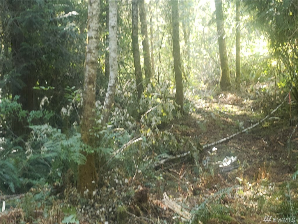 Property Photo: 13612 Peacock Hill Ave WA 98335