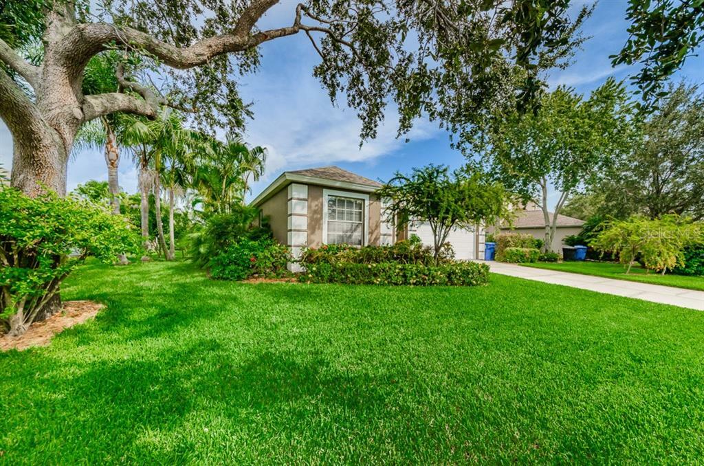 Property Photo:  825 Addison Drive NE  FL 33716 