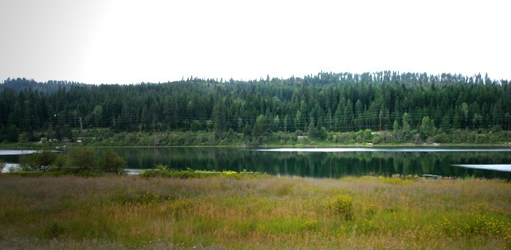 Property Photo: 541 Open Skies Rd WA 99156