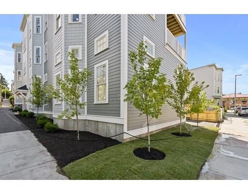 Property Photo:  24 Arcardia Park 5  MA 02122 