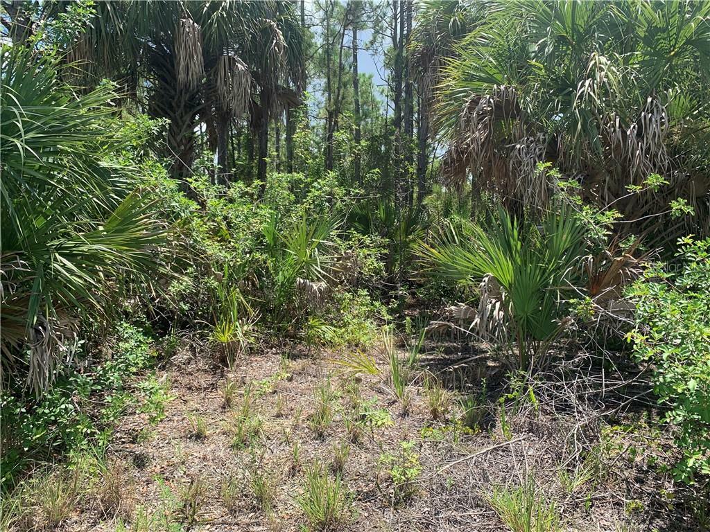 Property Photo:  4168 Chippewa Street  FL 33981 