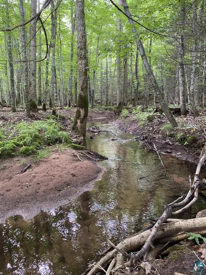 Property Photo: 000 Erkkila Rd WI 54847