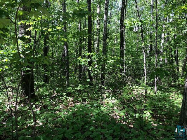 Property Photo:  Lot 17 Ridge Dr Lot 17 Moon Lake Estates  WI 54847 