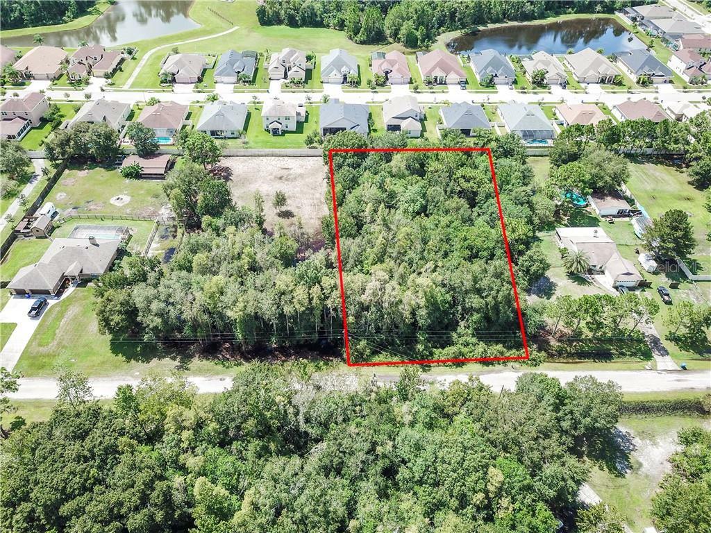 Property Photo:  Golden Meadow Drive  FL 33544 