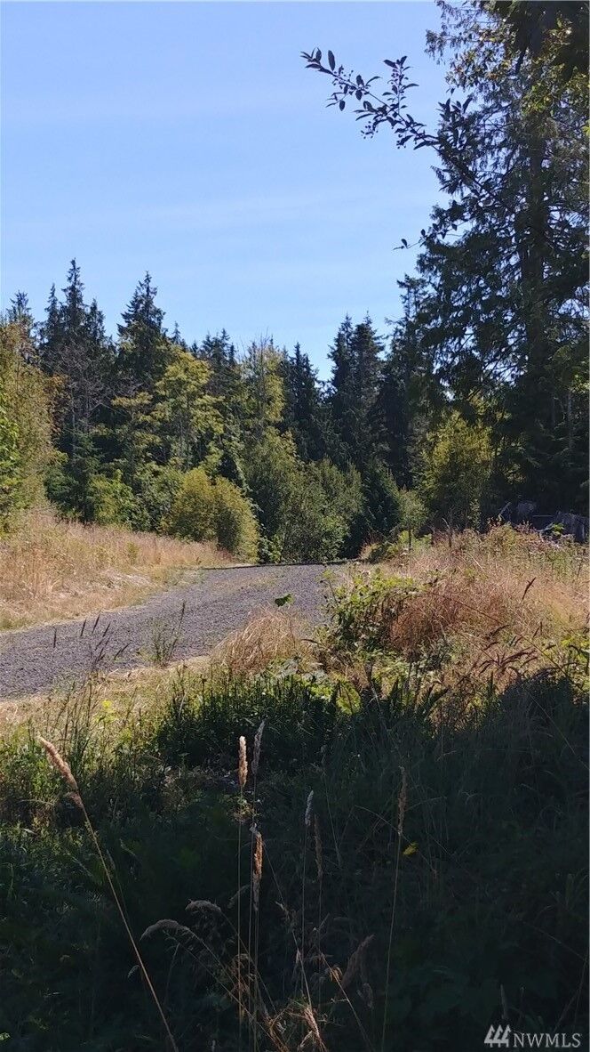 300 Old Olympic Hwy  Port Angeles WA 98362 photo