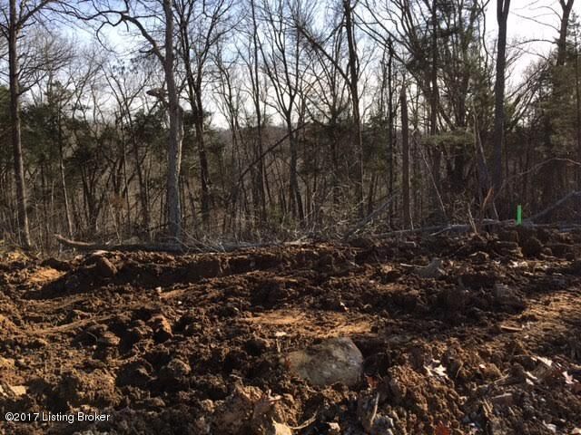 Property Photo:  Lot #98 Bluff'S Edge Dr  KY 40047 