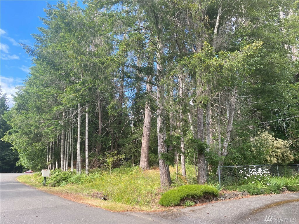 Property Photo: 0 SE Azalea Place WA 98584