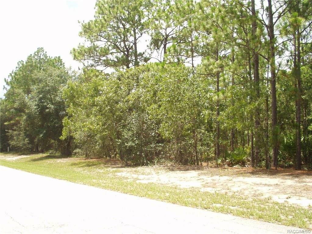 Property Photo:  5260 N Mallows Circle  FL 34465 