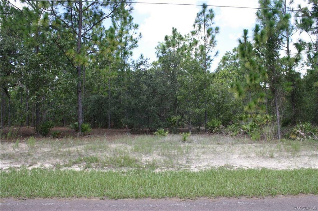 Property Photo:  4144 N Bridger Drive  FL 34465 