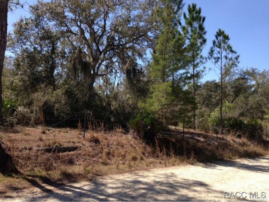 Property Photo:  4806 E Ringneck Drive  FL 34442 