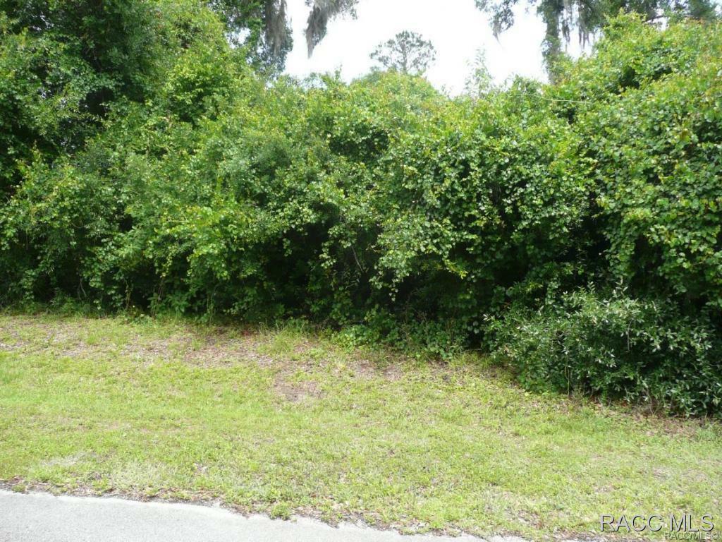 Property Photo:  2817 N Hythe Point  FL 34442 