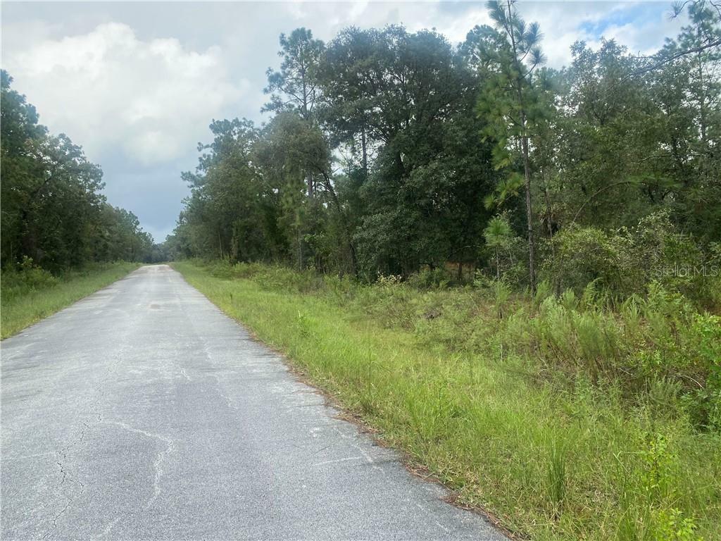 Property Photo:  Lot 32 NW Smallwood Road  FL 34431 