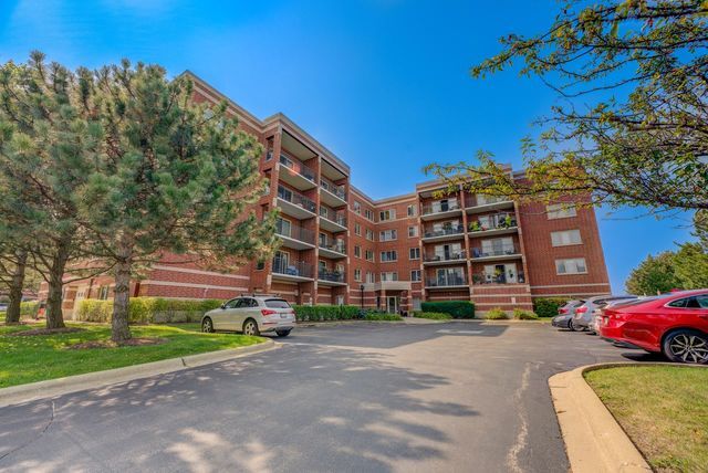 Property Photo: 4160 North Natchez Avenue 311 IL 60634