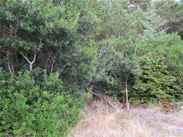 0 Gold St  Westport WA 98595 photo