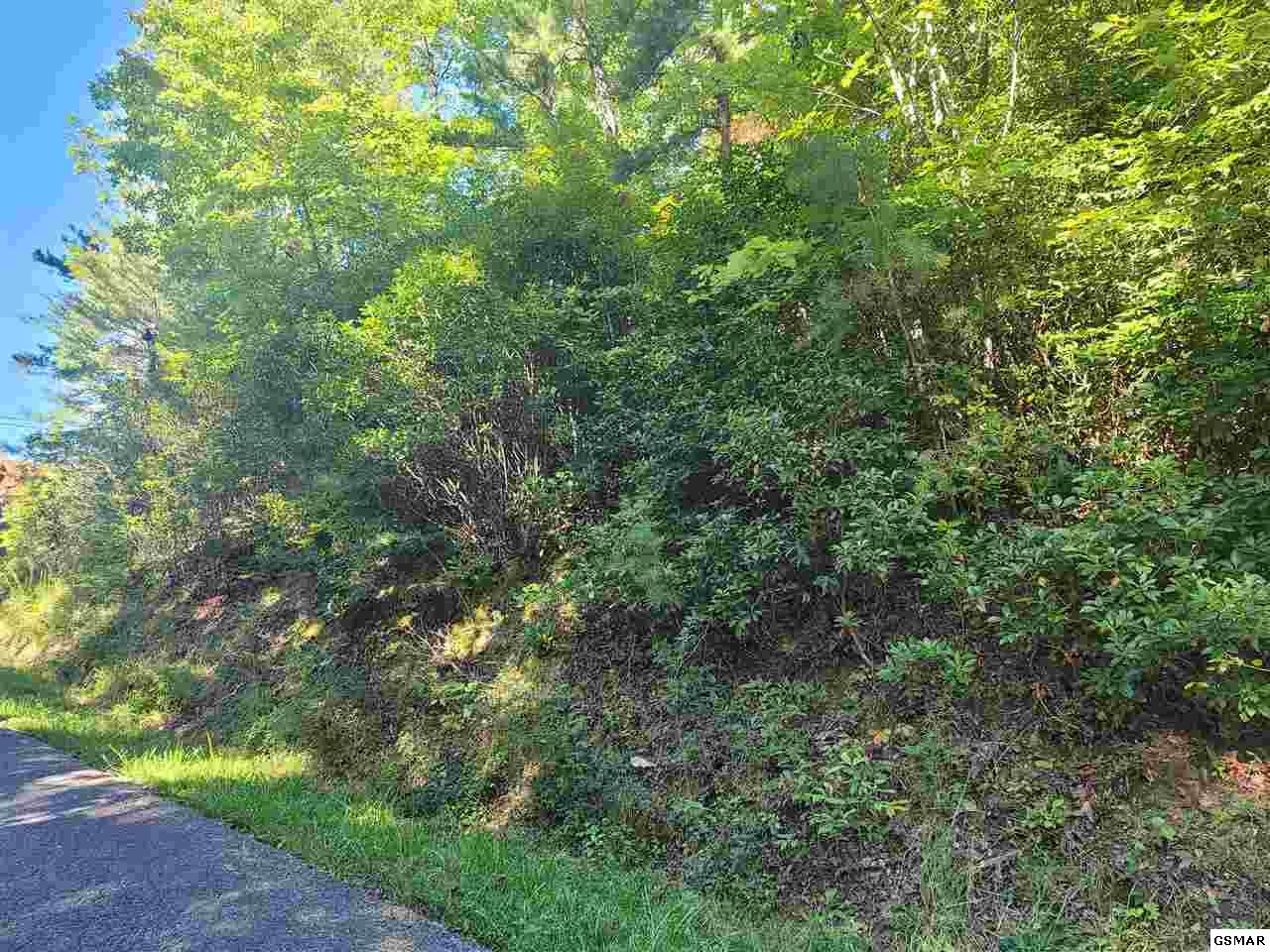 Property Photo: Beach Front TN 37876