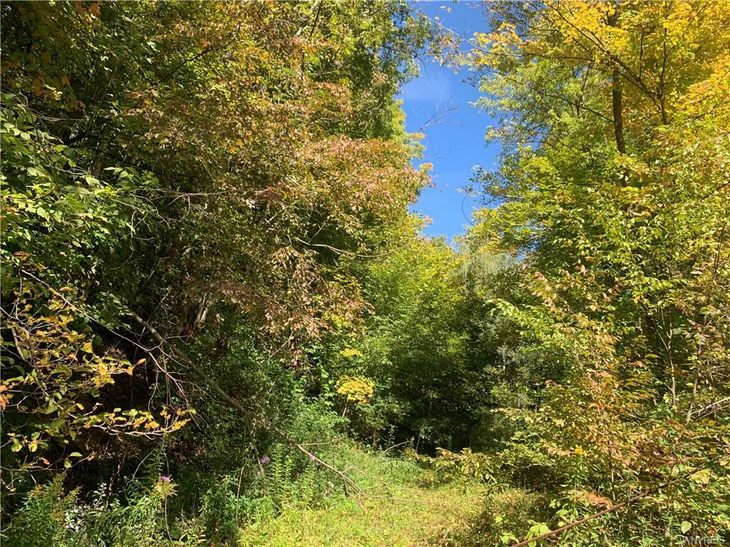 Property Photo:  4910 Sugartown Road  NY 14741 