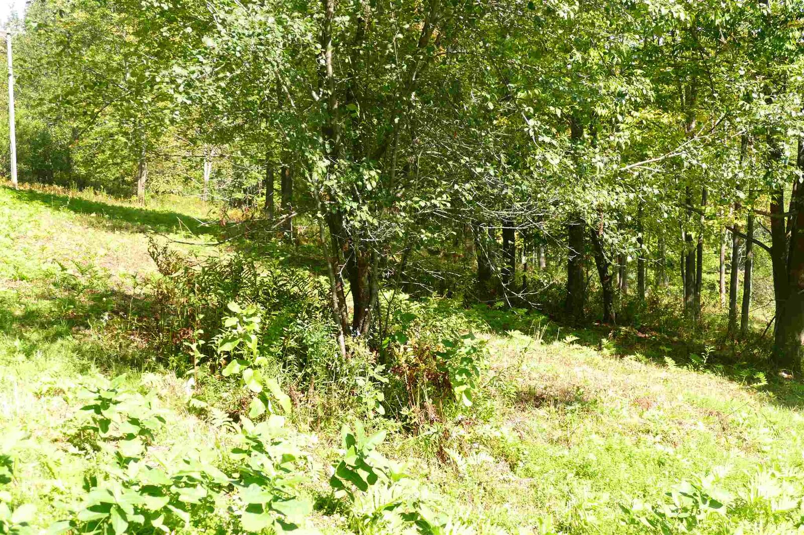 Property Photo:  0 Sallies Lane Lot A-3  VT 05672 