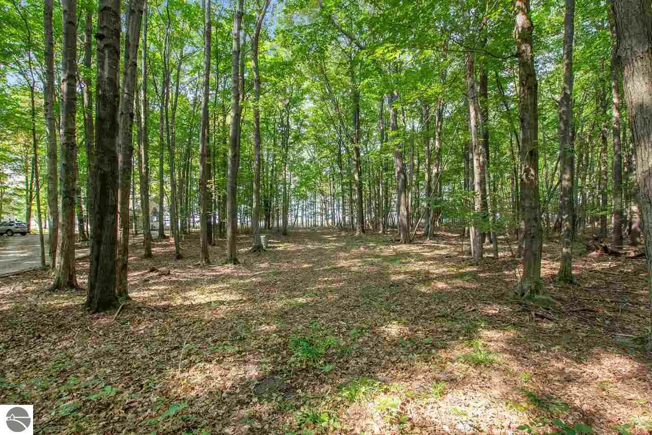 Property Photo: Lot 4 Perry Lane MI 49613