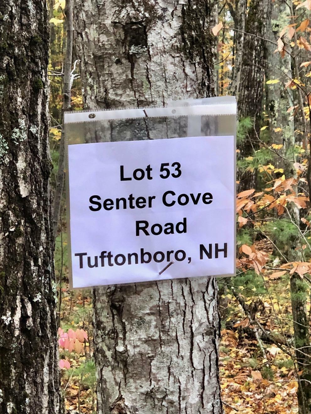 Property Photo:  Lot 53 Senter Cove Road  NH 03850 