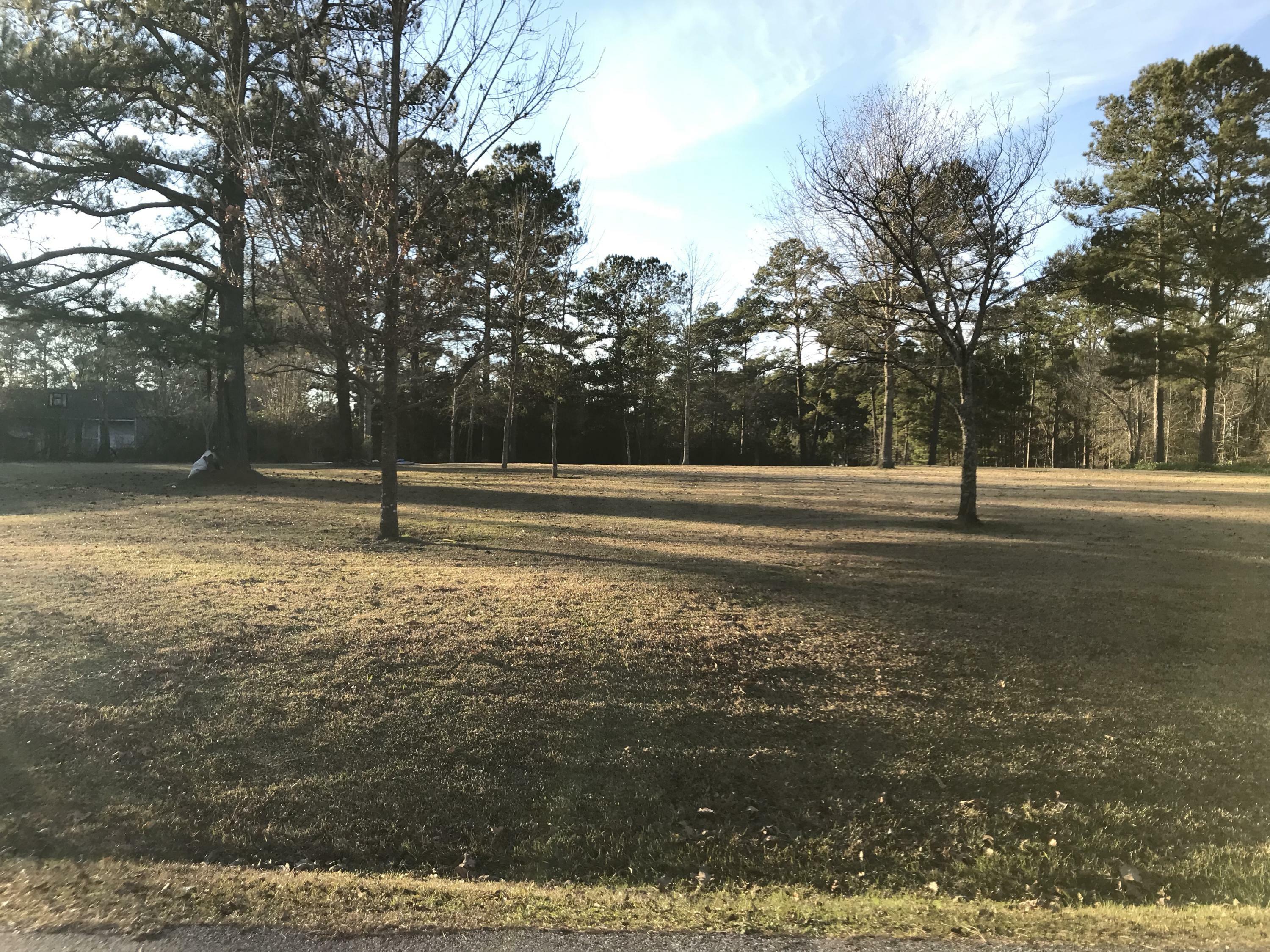 Property Photo:  0 Dogwood Lake (Lot 25) Rd.  MS 39459 