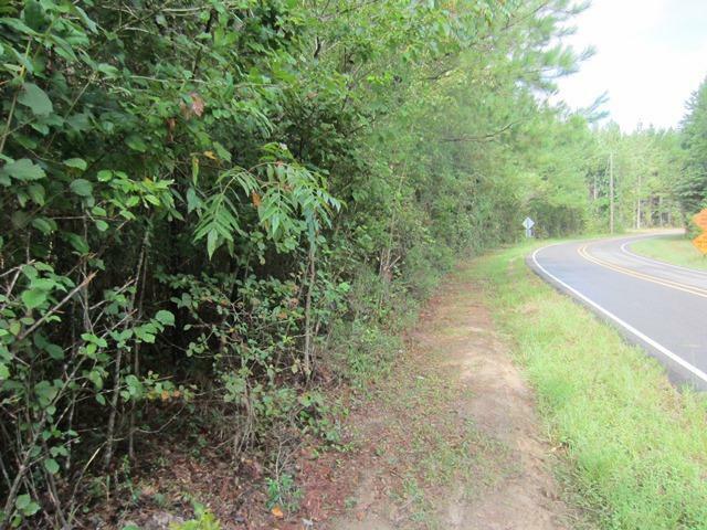 Property Photo: 00 Big Hill (10.08 +/- Ac) Rd. MS 39482