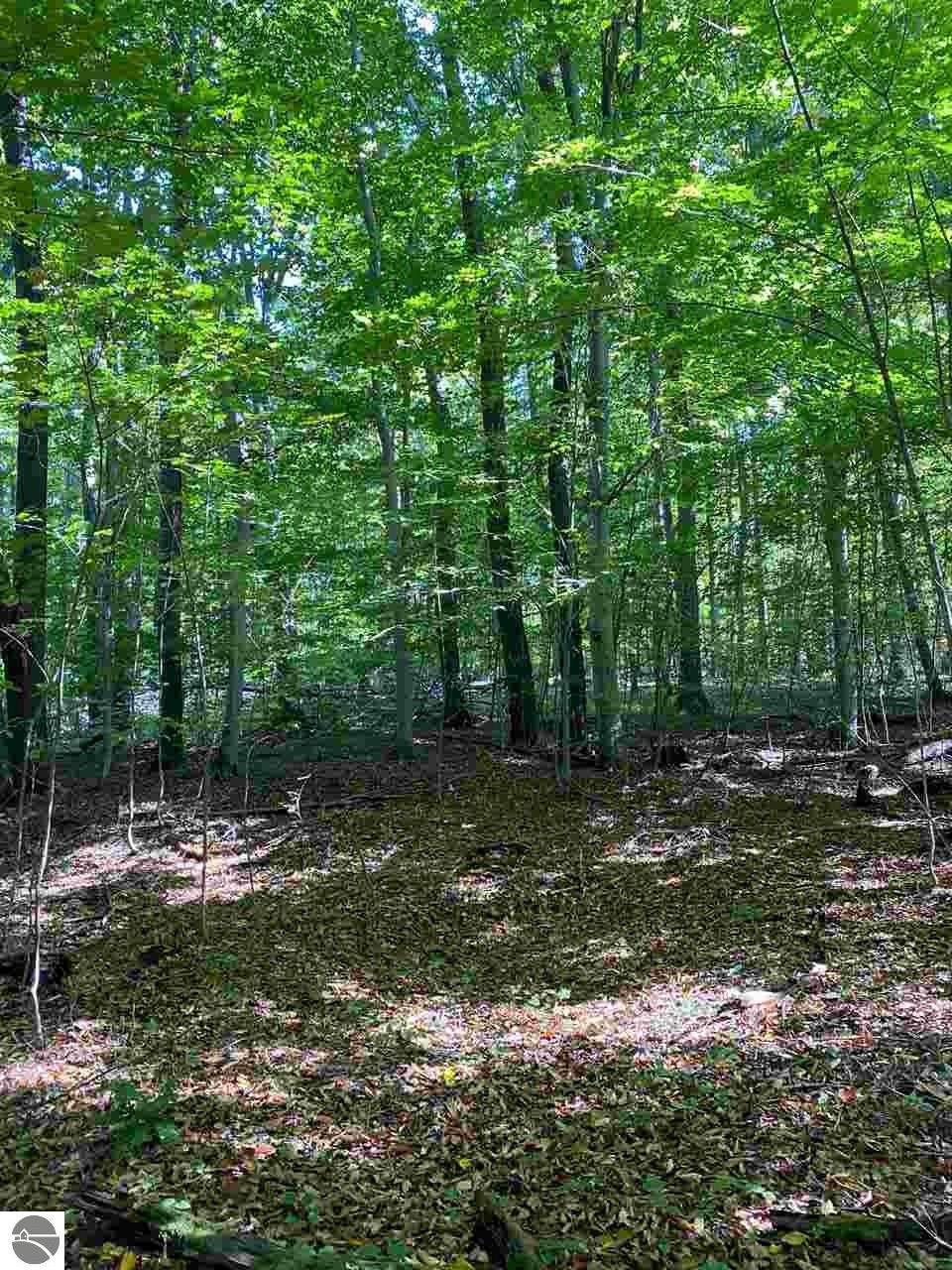 Property Photo: 000 Figg Road MI 49635