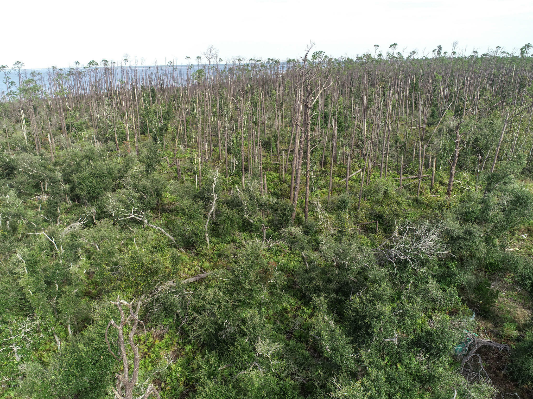 Property Photo:
