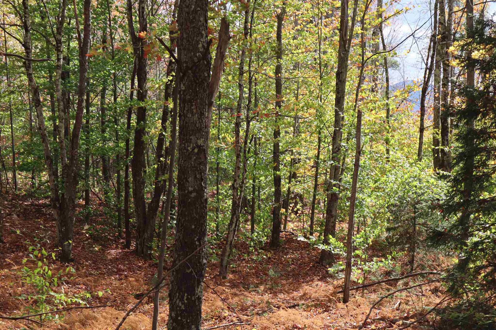 Property Photo: 11 Shepherd'S Way 4 VT 05489