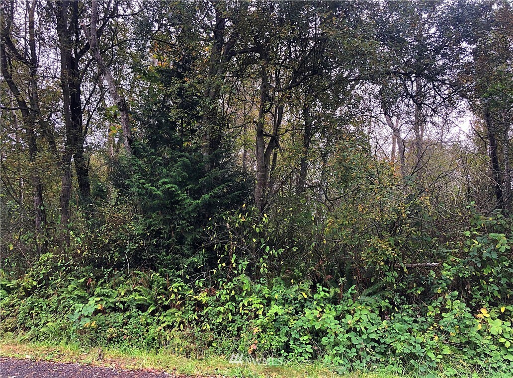 Property Photo:  12391 NE Douglas Drive  WA 98346 