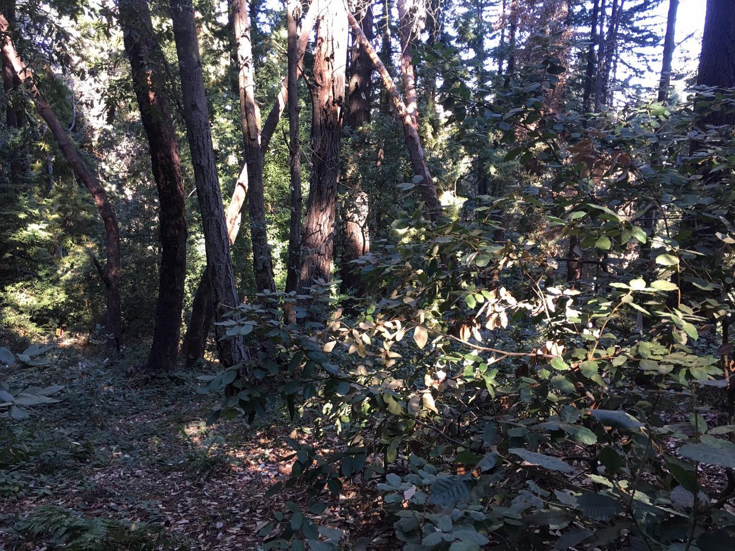 Property Photo: - Mountain Charlie Road CA 95033