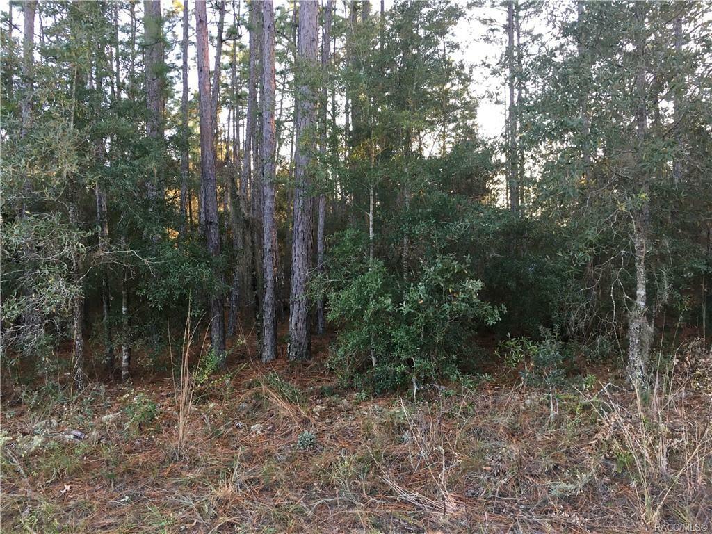 Property Photo:  1538 W Barlow Place  FL 34434 