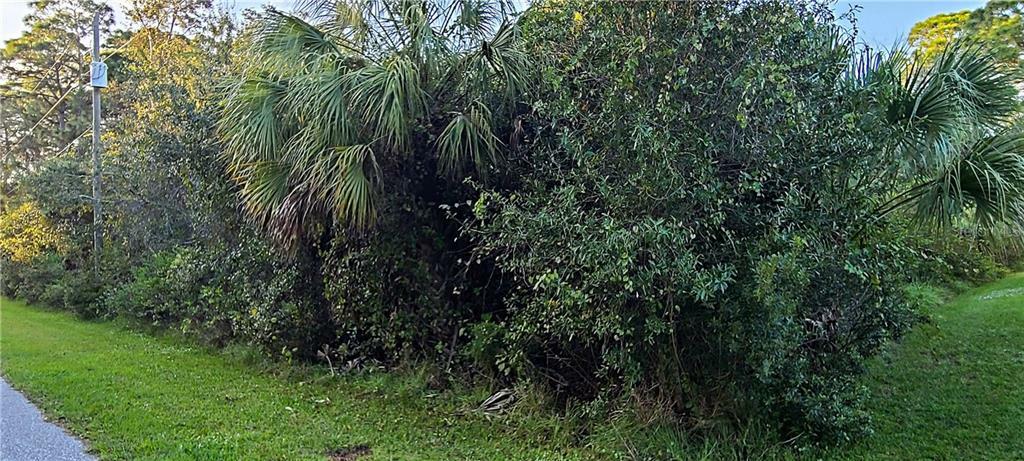 Property Photo:  Bellefonte Avenue  FL 34286 