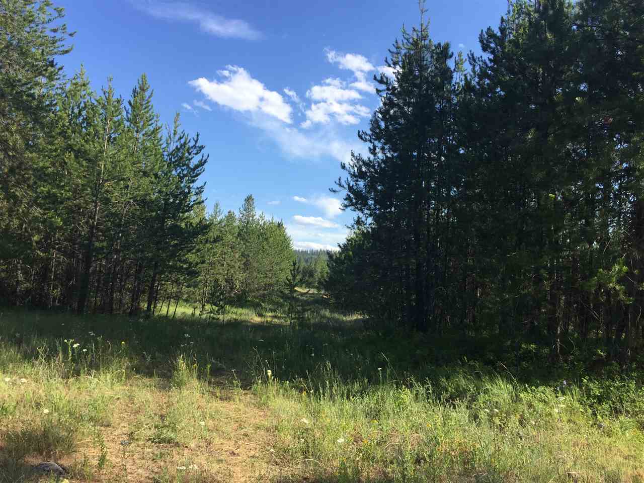 Property Photo: 7200 E Brandon Ln WA 99003