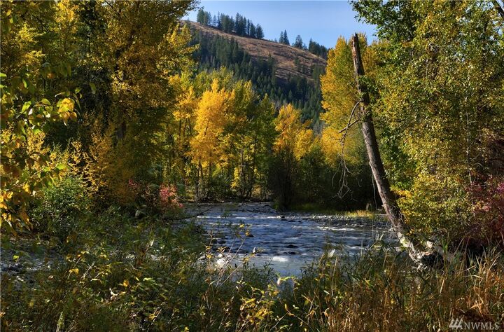 Property Photo:  449 Twisp River Rd  WA 98856 