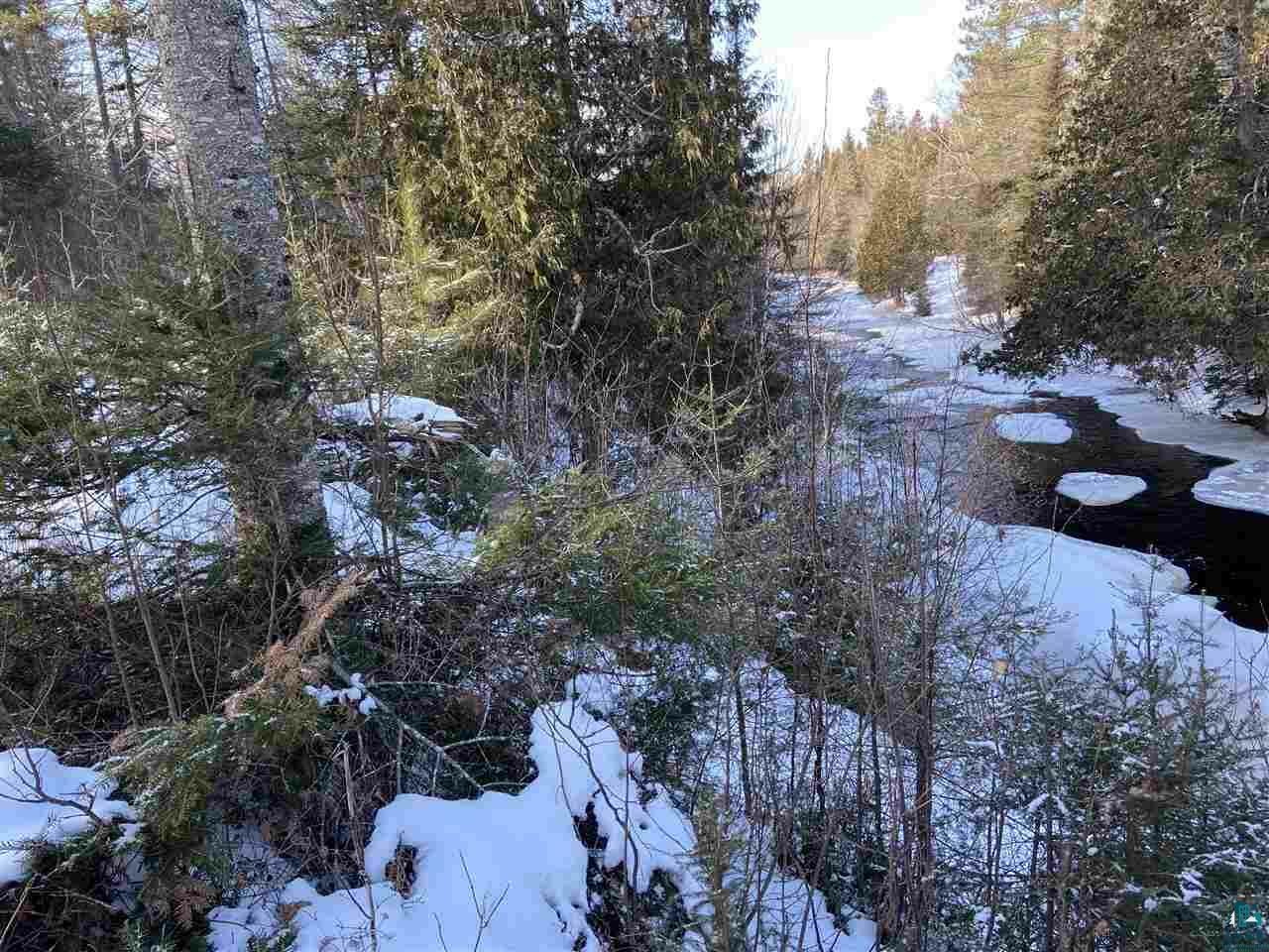 Property Photo:  Correll Rd  MN 55603 