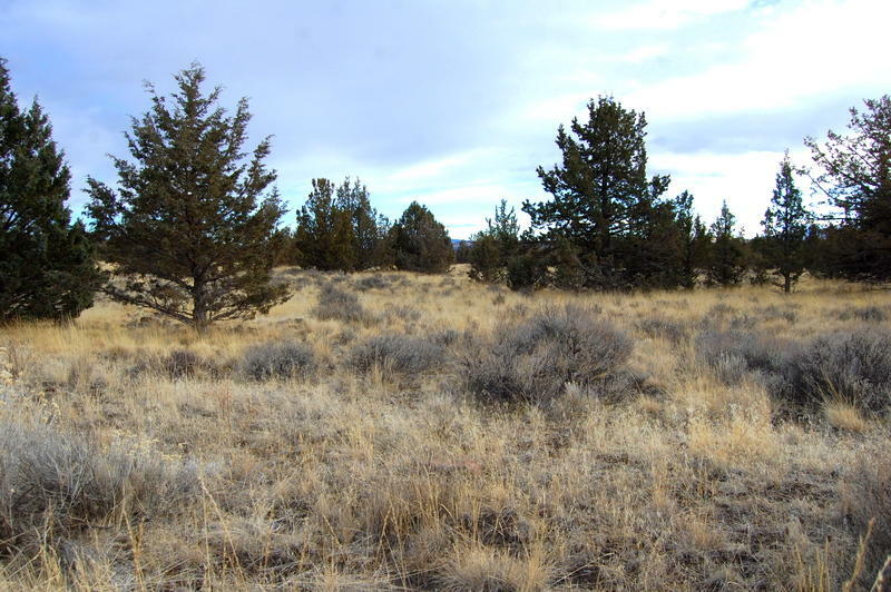 Property Photo:  Tl 2300 Iowa Road  OR 97754 