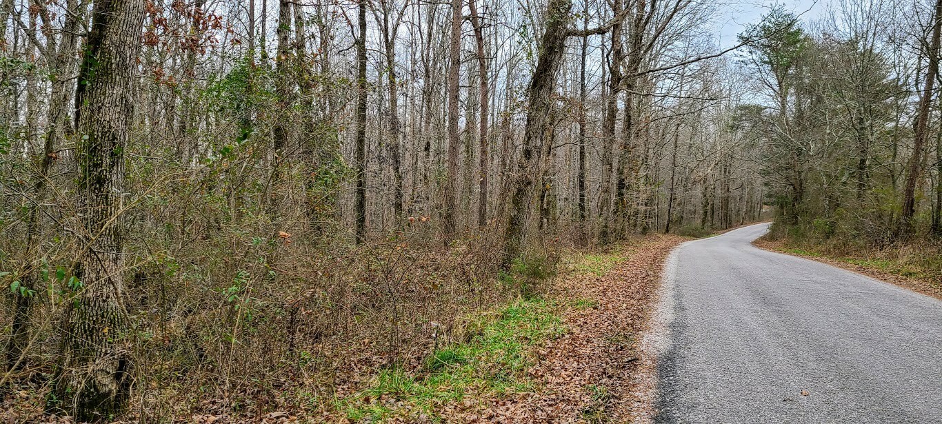 Property Photo:  0 Bouldin Road  TN 37313 