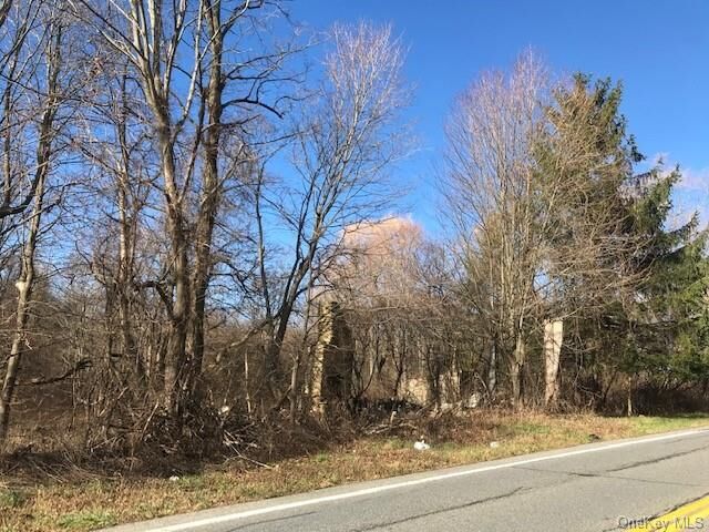 Property Photo:  Route 32  NY 12589 