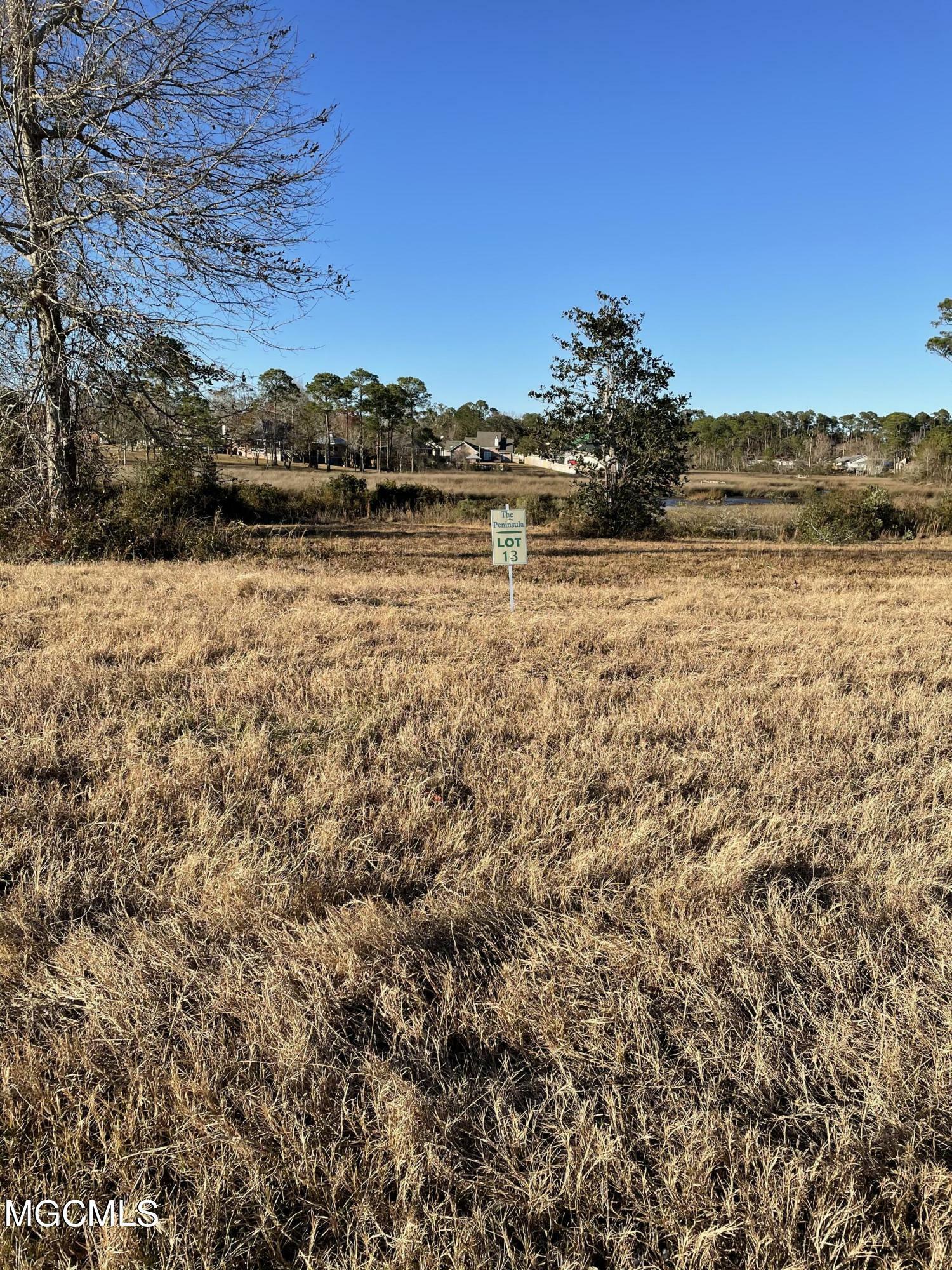 Property Photo:  Lot 13 Wetzel Drive  MS 39532 