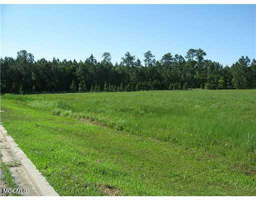 10 Acres Highway 603  Bay St. Louis MS 39520 photo