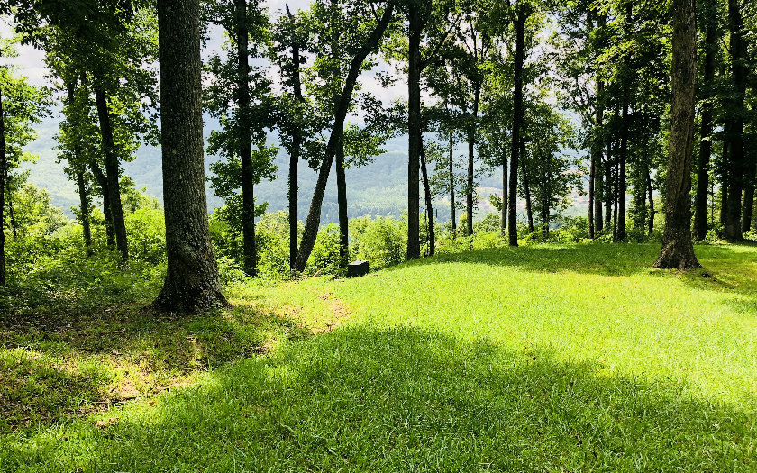 Property Photo:  Lt 33 Rocky Knob Estates  GA 30582 