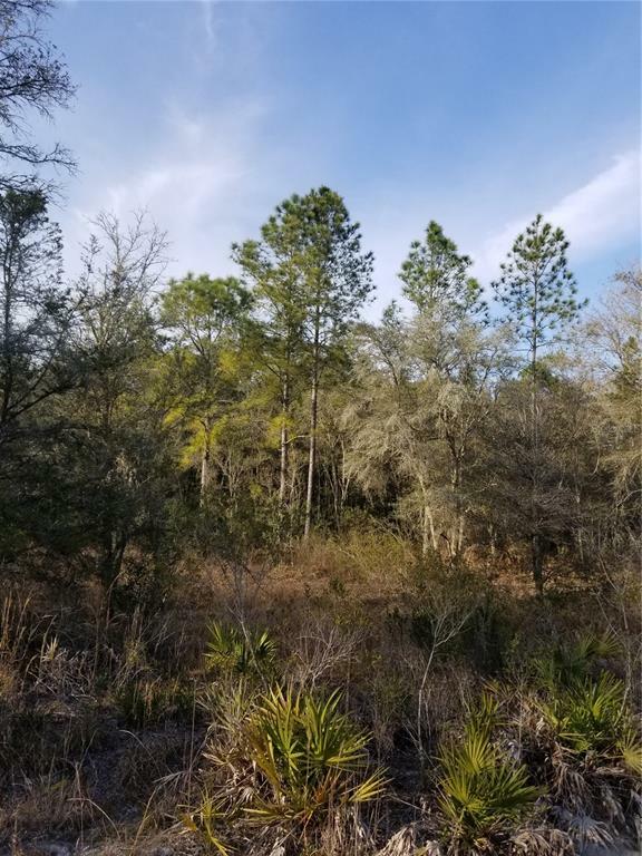 Property Photo:  Lot 39 Soap Stone Street  FL 33597 